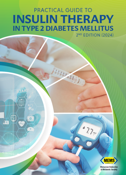 Practical Guide To Insulin Therapy In Type 2 Diabetes Mellitus 2nd